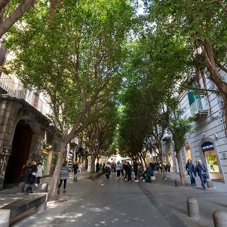 Elegante Con Terrazzino Nel Centro Di